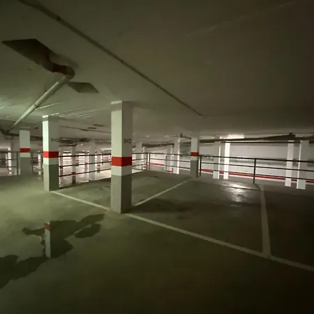 Gailurenea * بانتيكوسا